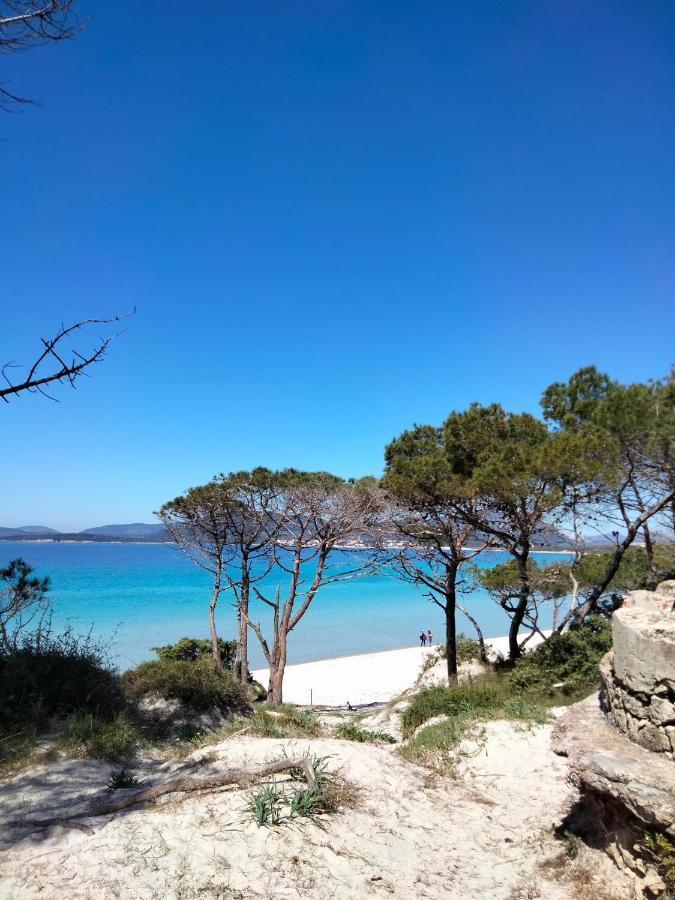 Il Mirto 2.0 Alghero
